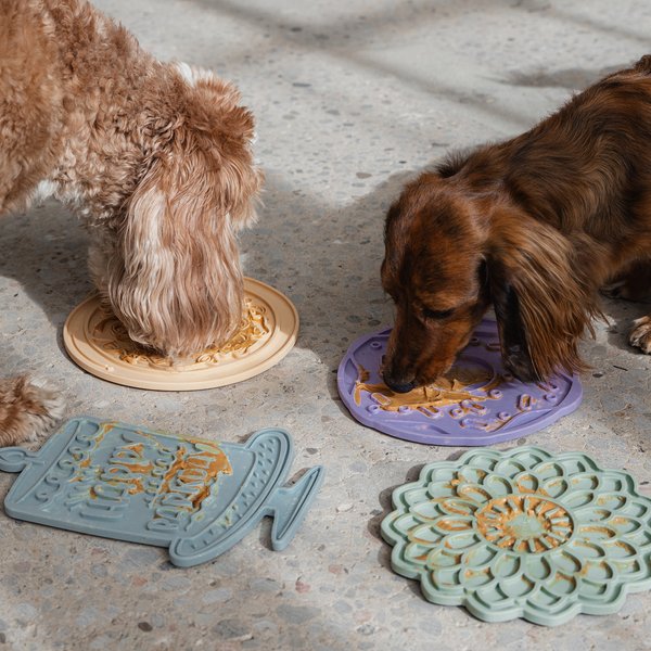 Dexypaws Flower Slow Feeder