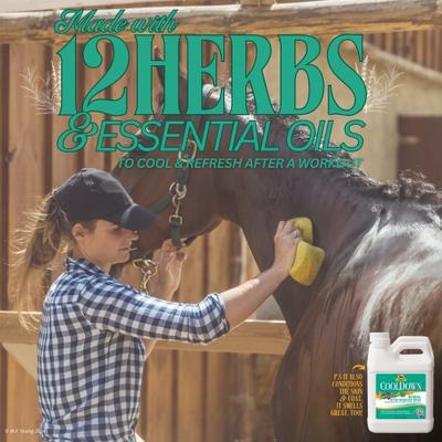 Show full view: Absorbine Cooldown Herbal After-Workout Sore Muscle Horse Rinse, 32-fl oz jug slide 4 of 6