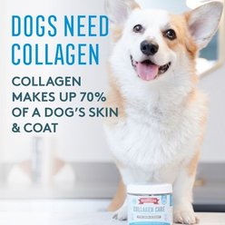 The Missing Link Collagen Care Soft Chews Skin & Coat Supplement for Dogs, 60 count slide 2 of 6
