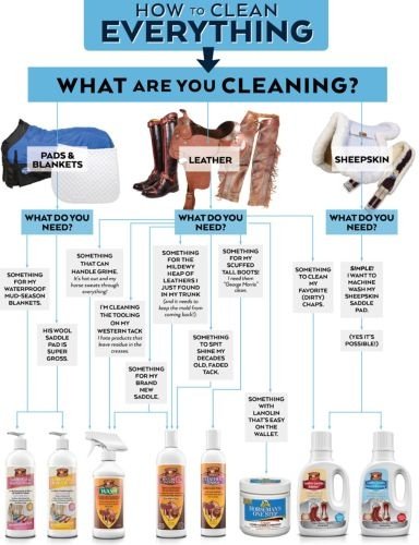 Show full view: Absorbine Horseman's One Step Cream Leather Cleaner & Conditioner, 15-fl oz tub slide 5 of 6