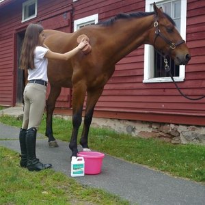Absorbine Cooldown Herbal After-Workout Sore Muscle Horse Rinse, 32-fl oz jug