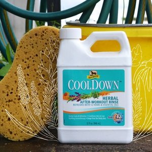 Absorbine Cooldown Herbal After-Workout Sore Muscle Horse Rinse, 32-fl oz jug