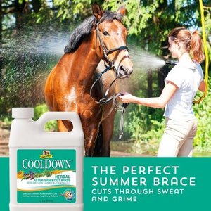 Absorbine Cooldown Herbal After-Workout Sore Muscle Horse Rinse, 32-fl oz jug