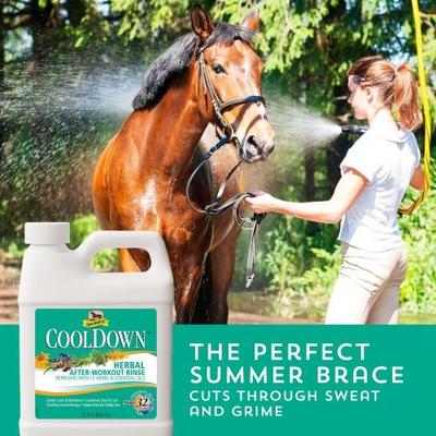 Show full view: Absorbine Cooldown Herbal After-Workout Sore Muscle Horse Rinse, 32-fl oz jug slide 3 of 6