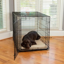 Snoozer Pet Products Forgiveness Microsuede Dog & Cat Crate Pad, Buckskin, 48-in