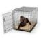Show in main carousel: Snoozer Pet Products Forgiveness Microsuede Dog & Cat Crate Pad, Buckskin, 36-in slide 2 of 6