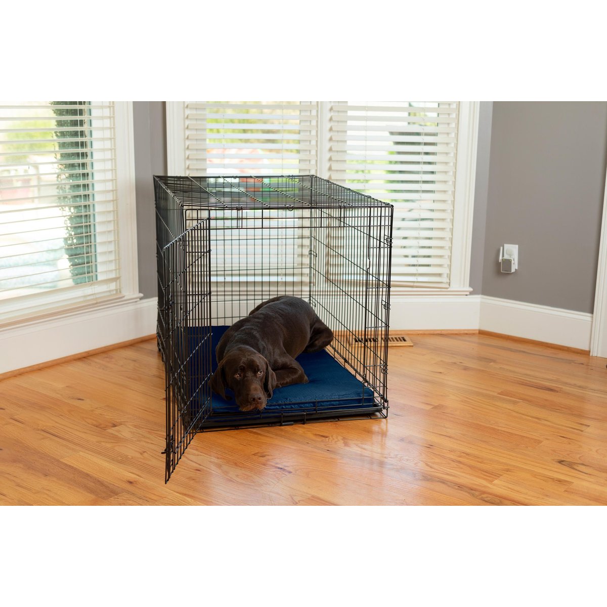 Snoozer Pet Products Forgiveness Microsuede Dog & Cat Crate Pad, Sapphire, 42-in