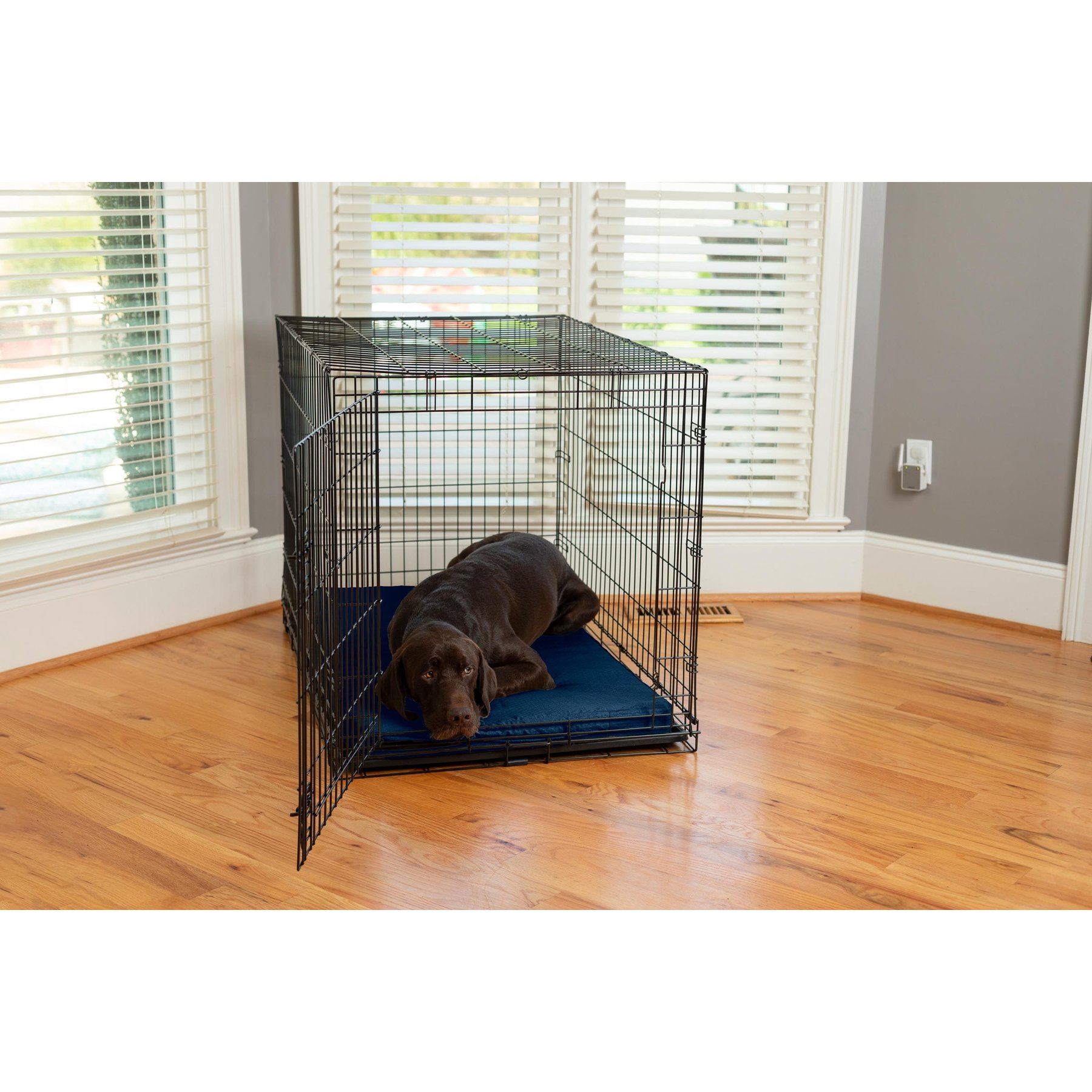 Snoozer Pet Products Forgiveness Microsuede Dog & Cat Crate Pad, Sapphire, 36-in