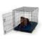 Show in main carousel: Snoozer Pet Products Forgiveness Microsuede Dog & Cat Crate Pad, Sapphire, 36-in slide 2 of 6