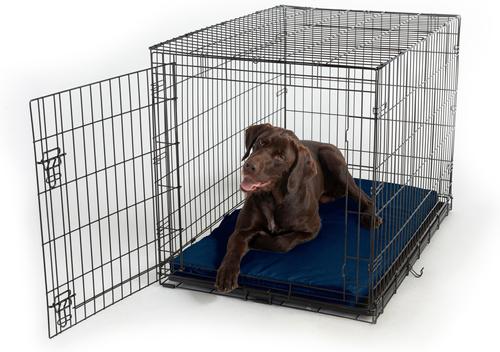 Show full view: Snoozer Pet Products Forgiveness Microsuede Dog & Cat Crate Pad, Sapphire, 36-in slide 2 of 6