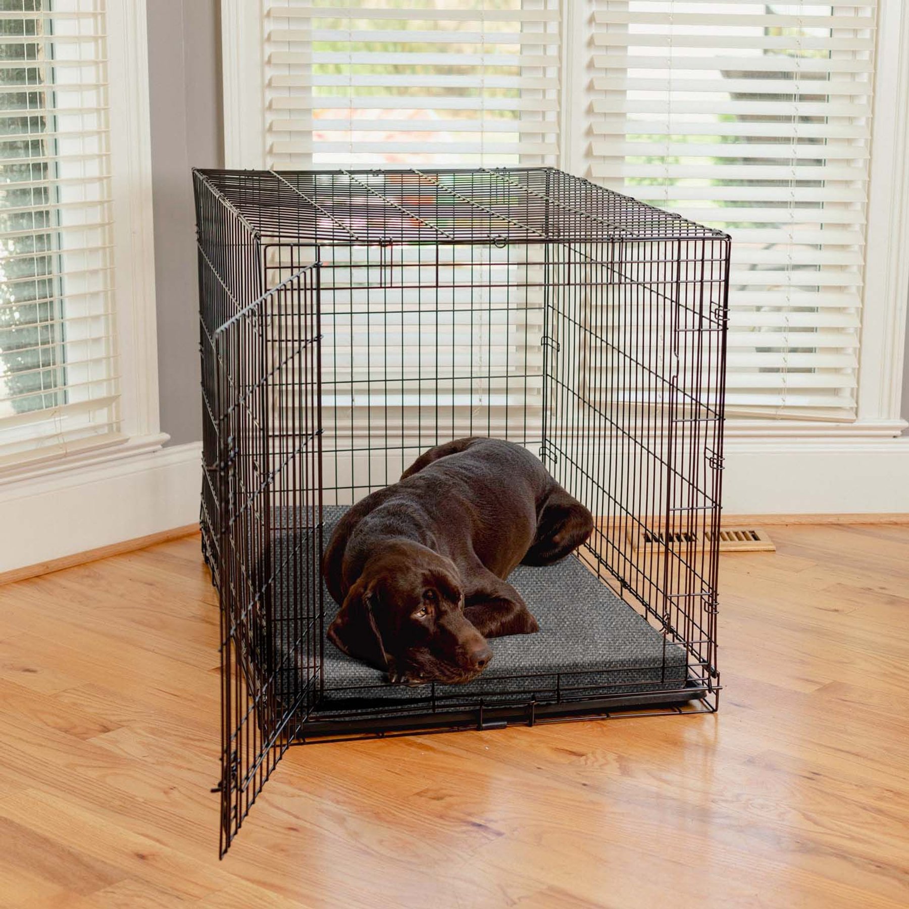 Snoozer Pet Products Forgiveness Premium Microsuede Dog & Cat Crate Pad, Merlin Pewter, 36-in