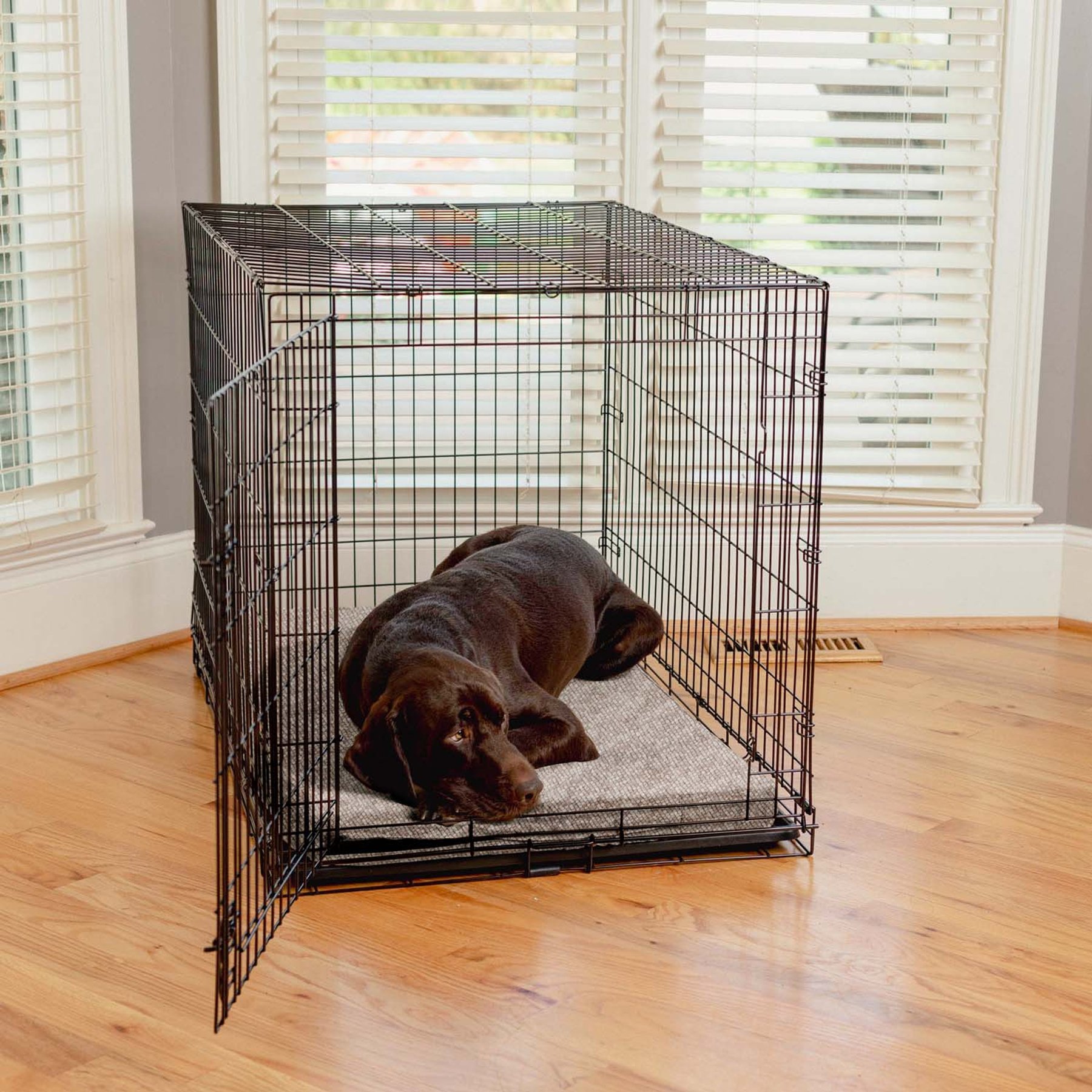 Snoozer Pet Products Forgiveness Premium Microsuede Dog & Cat Crate Pad, Merlin Linen, 42-in
