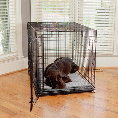 Snoozer Pet Products Snoozer Pet Products Forgiveness Indoor/Outdoor Dog & Cat Crate Pad, Ramey Gray, 36-in