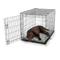 Show in main carousel: Snoozer Pet Products Forgiveness Indoor/Outdoor Dog & Cat Crate Pad, Pedigree Storm, 24-in slide 2 of 6