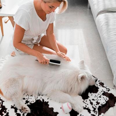 Show full view: Ocean Plastic by PT Double-Sided Oval Grooming Dog & Cat Brush, Beige slide 4 of 7