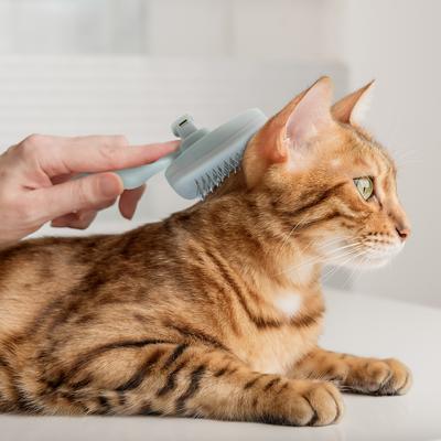 Show full view: Ocean Plastic by PT Self-Cleaning Slicker Dog & Cat Brush, Beige slide 4 of 7