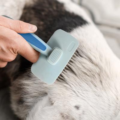 Show full view: Ocean Plastic by PT Self-Cleaning Slicker Dog & Cat Brush, Blue slide 3 of 7