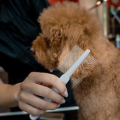 Ocean Plastic by PT Double-Sided Pin Dog & Cat Comb, Beige slide 2 of 7