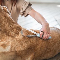 Ocean Plastic by PT Dog & Cat Deshedding Blade, Beige slide 2 of 7