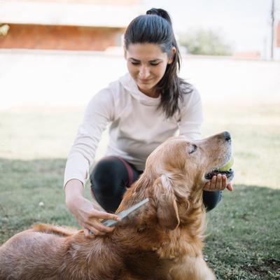 Show full view: Ocean Plastic by PT Double-Sided Pin Dog & Cat Comb, Beige slide 4 of 7