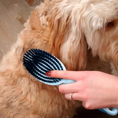 Show full view: Ocean Plastic by PT Double-Sided Round Grooming Dog & Cat Brush, Blue slide 5 of 7