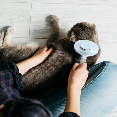 Show full view: Ocean Plastic by PT Self-Cleaning Pin Slicker Dog & Cat Brush, Beige slide 3 of 7