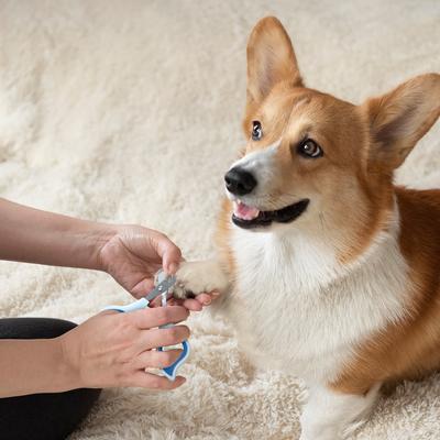 Show full view: Ocean Plastic by PT Dog & Cat Nail Clipper, Blue slide 4 of 7