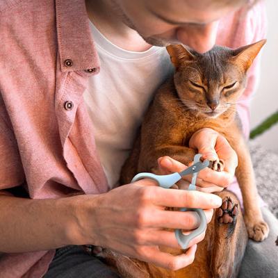 Show full view: Ocean Plastic by PT Dog & Cat Nail Clipper, Beige slide 3 of 7