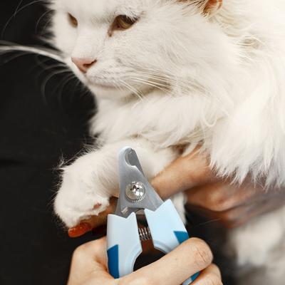 Show full view: Ocean Plastic by PT Eco-Friendly Dog & Cat Nail Clipper, Blue slide 3 of 7
