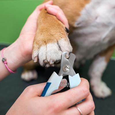 Show full view: Ocean Plastic by PT Eco-Friendly Dog & Cat Nail Clipper, Blue slide 4 of 7