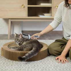 Ocean Plastic by PT Double-Sided Flexible Slicker Dog & Cat Brush, Blue slide 2 of 7