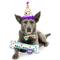 Show in main carousel: Huxley & Kent Celebration Box Happy Barkday Dog Plush Toy, Large slide 4 of 7
