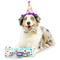 Show in main carousel: Huxley & Kent Celebration Box Happy Barkday Dog Plush Toy, Large slide 5 of 7