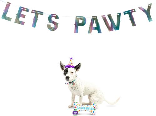 Show full view: Huxley & Kent Celebration Box Happy Barkday Dog Plush Toy, Small slide 6 of 7