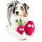 Show in main carousel: Huxley & Kent Pop 'N Fetch Beet Dog Plush Toy, Large slide 8 of 9
