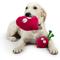 Show in main carousel: Huxley & Kent Pop 'N Fetch Beet Dog Plush Toy, Large slide 6 of 9
