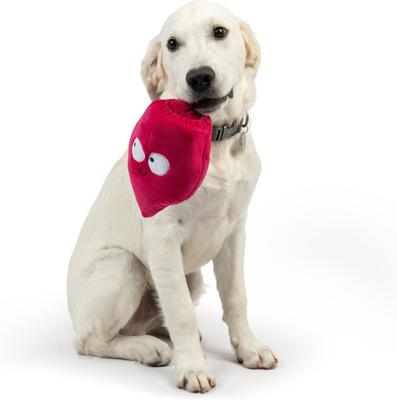 Show full view: Huxley & Kent Pop 'N Fetch Beet Dog Plush Toy, Large slide 7 of 9