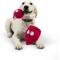 Show in main carousel: Huxley & Kent Pop 'N Fetch Beet Dog Plush Toy, Large slide 5 of 9