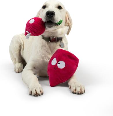 Show full view: Huxley & Kent Pop 'N Fetch Beet Dog Plush Toy, Large slide 5 of 9