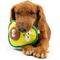 Show in main carousel: Huxley & Kent Pop 'N Fetch Avocado Dog Plush Toy, Large slide 9 of 9