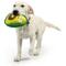 Show in main carousel: Huxley & Kent Pop 'N Fetch Avocado Dog Plush Toy, Large slide 6 of 9