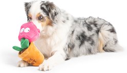 Huxley & Kent Seek 'N Treat Rosie Pawt Dog Plush Toy, Large slide 2 of 7
