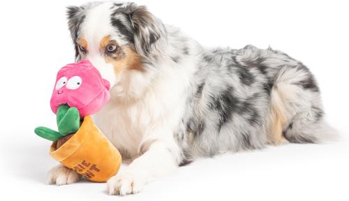 Show full view: Huxley & Kent Seek 'N Treat Rosie Pawt Dog Plush Toy, Small slide 6 of 8