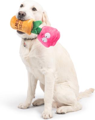 Show full view: Huxley & Kent Seek 'N Treat Rosie Pawt Dog Plush Toy, Small slide 8 of 8