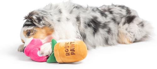 Show full view: Huxley & Kent Seek 'N Treat Rosie Pawt Dog Plush Toy, Small slide 7 of 8