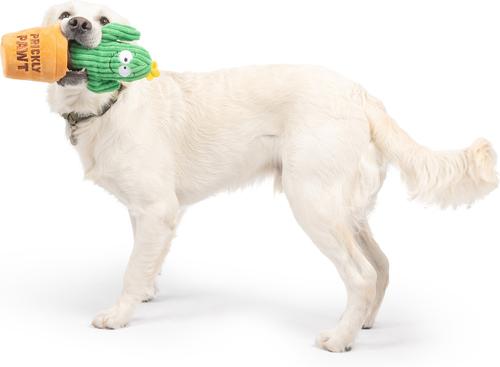 Show full view: Huxley & Kent Seek 'N Treat Prickly Pawt Dog Plush Toy, Small slide 9 of 9