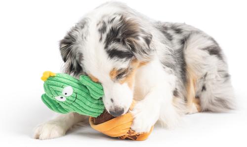 Show full view: Huxley & Kent Seek 'N Treat Prickly Pawt Dog Plush Toy, Small slide 7 of 9