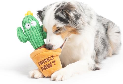 Show full view: Huxley & Kent Seek 'N Treat Prickly Pawt Dog Plush Toy, Small slide 8 of 9