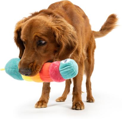 Show full view: Huxley & Kent Fetchies Caterpillar Dog Plush Toy, Small slide 8 of 9