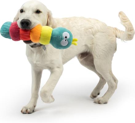Show full view: Huxley & Kent Fetchies Caterpillar Dog Plush Toy, Small slide 6 of 9